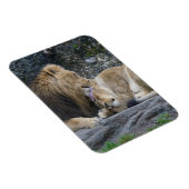 Mighty Lion Love Magneet (Rechterzijde)