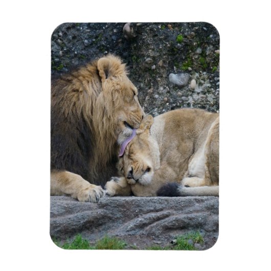 Mighty Lion Love Magneet (Verticaal)