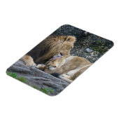Mighty Lion Love Magneet (Linkerzijde)