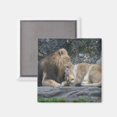 Mighty Lion Love Magneet (Voorkant / Achterkant)