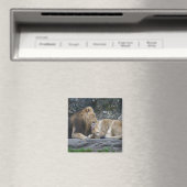Mighty Lion Love Magneet (Insitu (Vaatwasser))