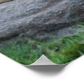 Mighty Lion Love Poster (Hoek)