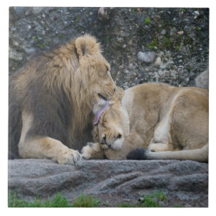 Mighty Lion Love Tegeltje