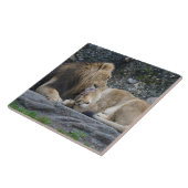 Mighty Lion Love Tegeltje (Zijkant)