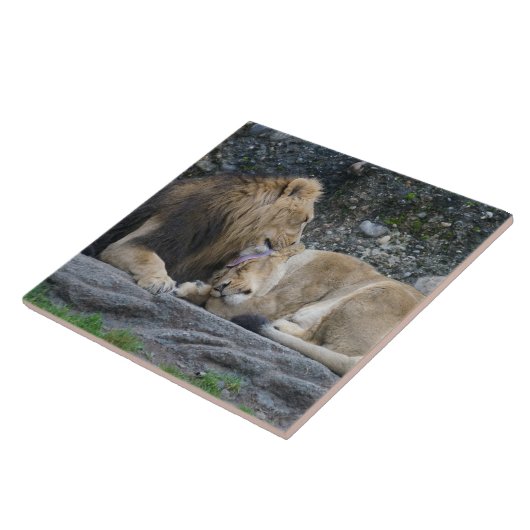 Mighty Lion Love Tegeltje (Zijkant)