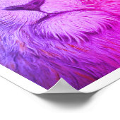 Mighty Lion Paars Poster (Hoek)