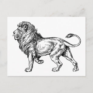 Mighty Lion Sketch Briefkaart