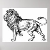 Mighty Lion Sketch Poster (Voorkant)