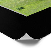 "Mighty Live Oak" Poster (Hoek)