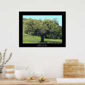 "Mighty Live Oak" Poster (Keuken)