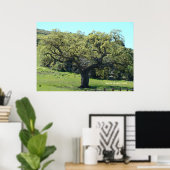 Mighty Live Oak Poster (Thuiskantoor)