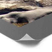 Mighty Makalu Poster (Hoek)