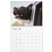 Mighty Mutts Active Dogs Kalender (Feb 2027)