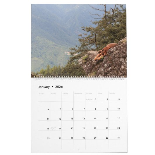 Mighty Mutts Active Dogs Kalender (Jan 2026)