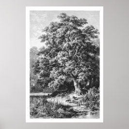 Mighty Oak Tree zwart-wit Poster