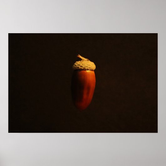 Mighty Oak wapn Poster (Voorkant)