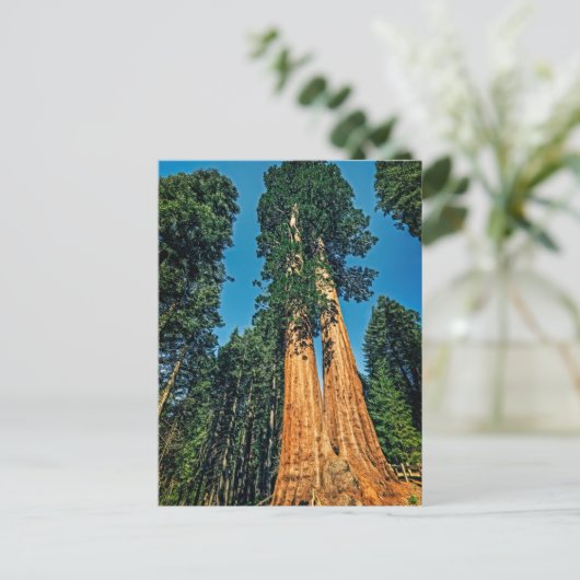 Mighty Redwood Briefkaart (Staand voorkant)