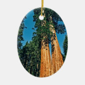 Mighty Redwood Keramisch Ornament (Voorkant)