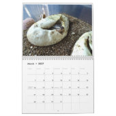 MightyMorphs-kalender Kalender (Mar 2027)
