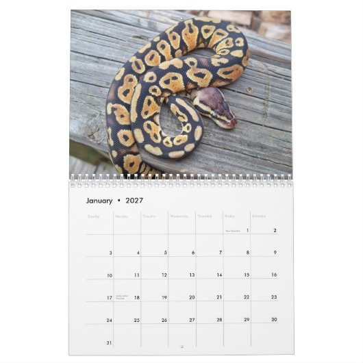 MightyMorphs-kalender Kalender (Jan 2027)