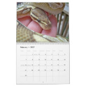 MightyMorphs-kalender Kalender (Feb 2027)