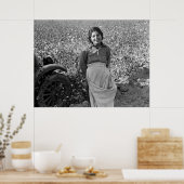 Migrant Worker in Cotton Field door Dorothea Lange Poster (Keuken)