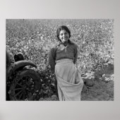 Migrant Worker in Cotton Field door Dorothea Lange Poster (Voorkant)