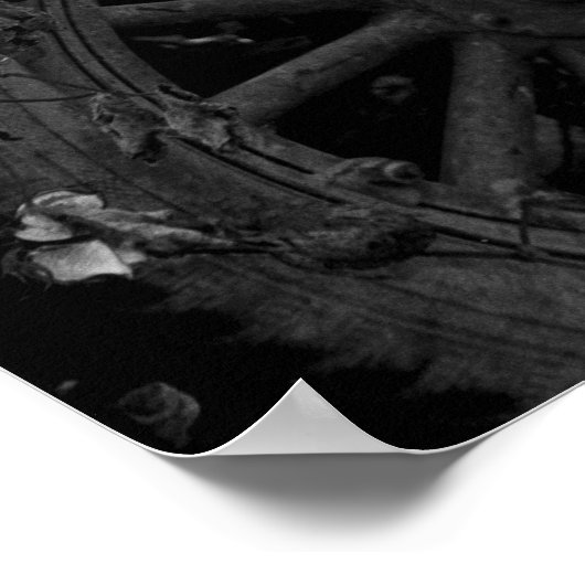 Migrant Worker in Cotton Field door Dorothea Lange Poster (Hoek)