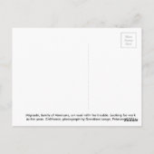 Migranten in 1936 met bandproblemen briefkaart (Achterkant)