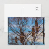 MIgratie Briefkaart (Voorkant / Achterkant)