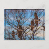 MIgratie Briefkaart (Voorkant)