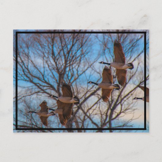 MIgratie Briefkaart (Voorkant)