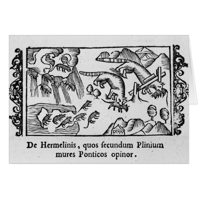 Migratie van lemmingen (Voorkant Horizontaal)