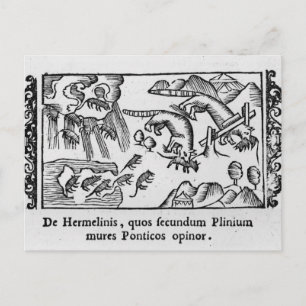 Migratie van lemmingen briefkaart