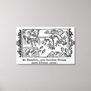 Migratie van lemmingen canvas afdruk