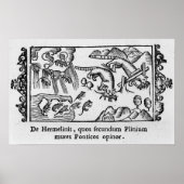 Migratie van lemmingen poster (Voorkant)