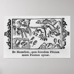 Migratie van lemmingen poster