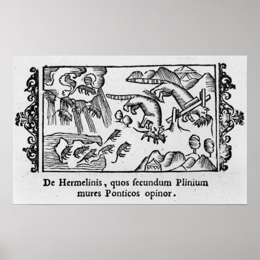 Migratie van lemmingen poster (Voorkant)