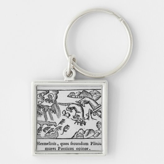 Migratie van lemmingen sleutelhanger (Voorkant)