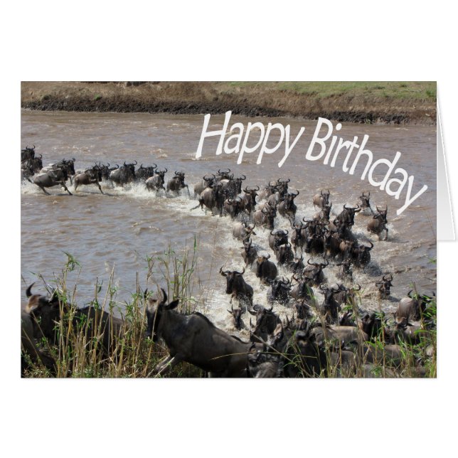 Migratie (Wildebeest River Crossing) - HB (Voorkant Horizontaal)