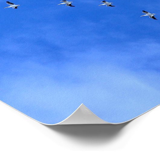 Migrating Birds Poster (Hoek)