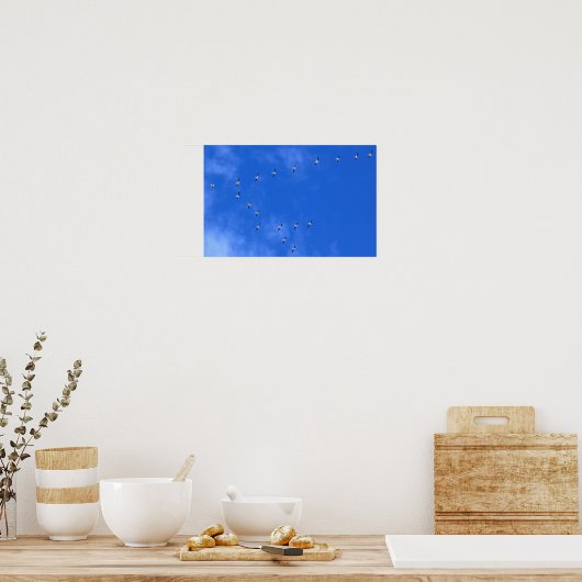 Migrating Birds Poster (Keuken)