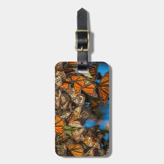 Migrating monarch butterflips cling to leaves bagagelabel (Voorkant verticaal)