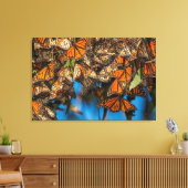 Migrating monarch butterflips cling to leaves canvas afdruk (Insitu (Woonkamer))