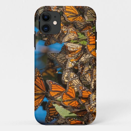 Migrating monarch butterflips cling to leaves Case-Mate iPhone case (Achterkant)