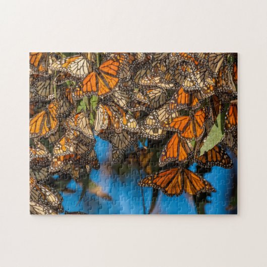 Migrating monarch butterflips cling to leaves legpuzzel (Horizontaal)