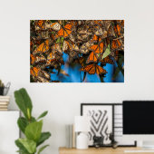 Migrating monarch butterflips cling to leaves poster (Thuiskantoor)