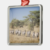 Migrerende zebra, Tanzania Metalen Ornament (Links)