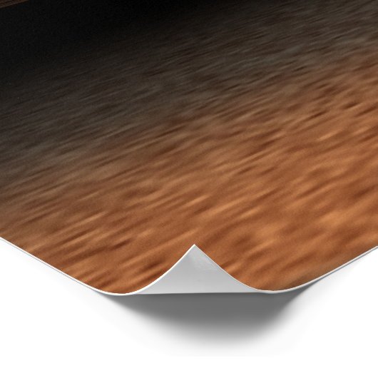 migumi poster (Hoek)