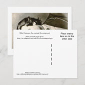 Mihai Eminescu, de grootste Roemeense dichter Briefkaart (Voorkant / Achterkant)